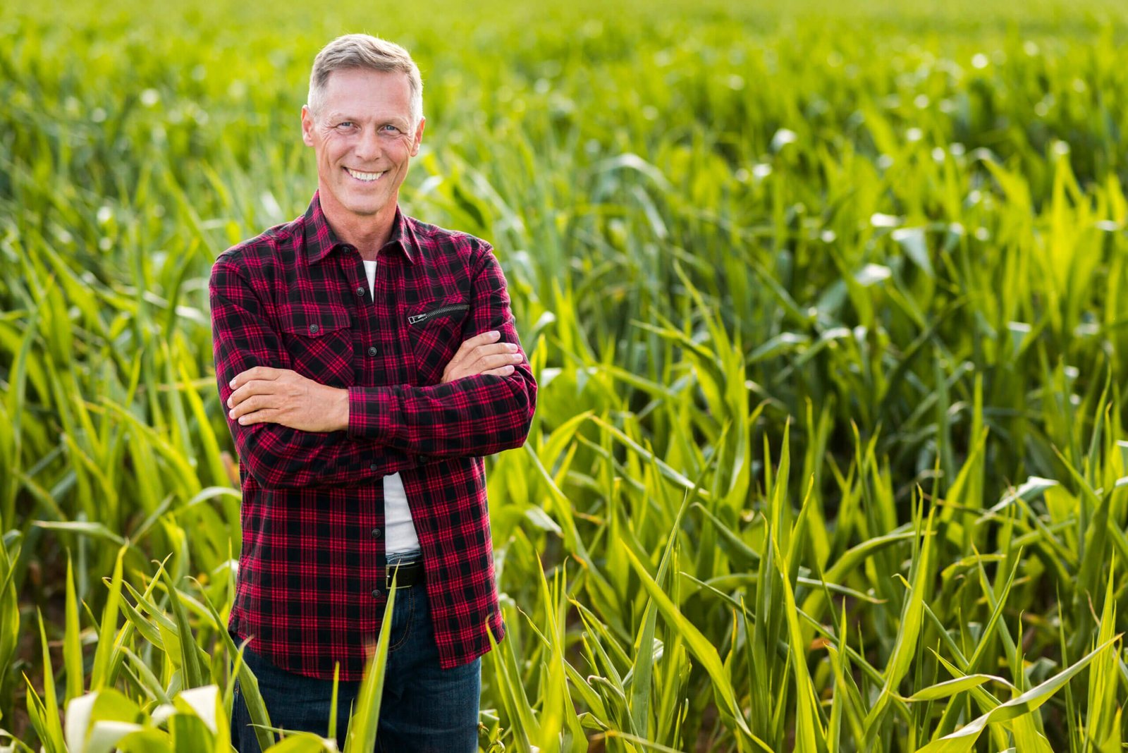 Produtor Rural: Emita suas NF-e com o InvoiCy